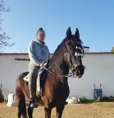 Helle, 31